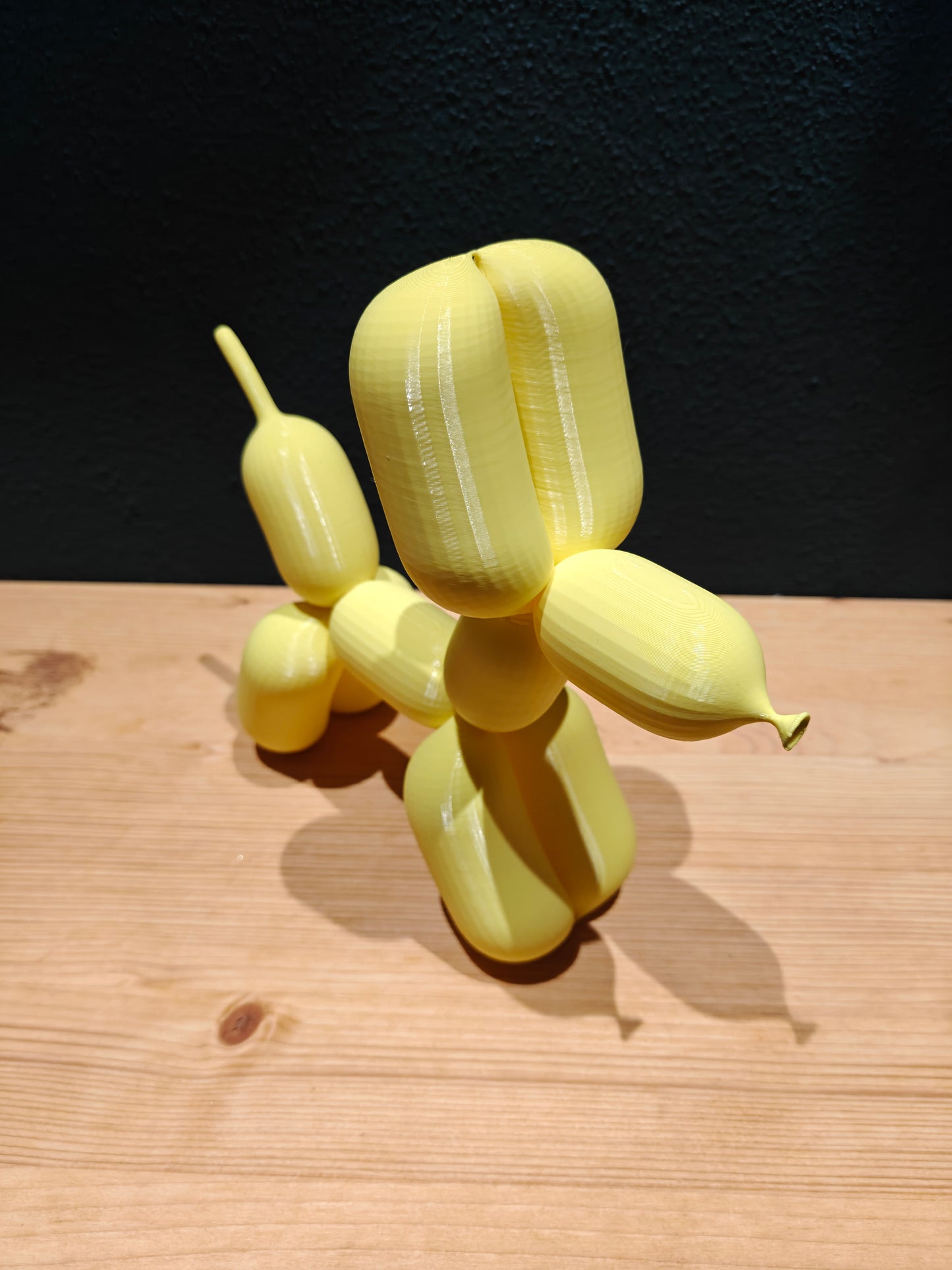 3D Shook's Balloon Poodle